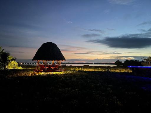 Blue Wild - Yala - Plastic Free & Sustainable - Housity
