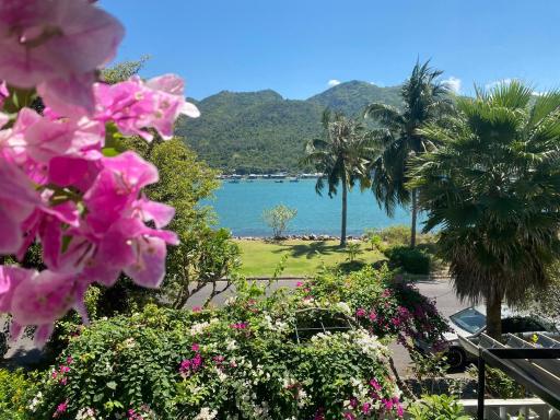 M Villa Nha Trang - Housity