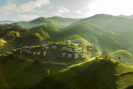 Garrya Mù Cang Chải - Housity