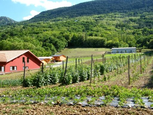 Fattoria Antica Forconia - Housity