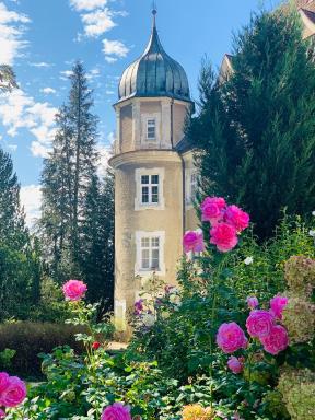 Schloß Hürbel Rosengarten - Suite - Housity