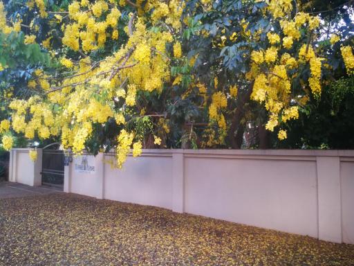 Tree Aloe Guest House - Housity