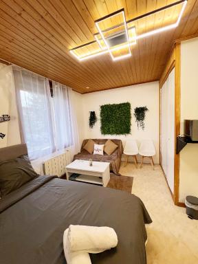 Magnifique Studio de 20m2 pour 1 à 4 personnes - Housity