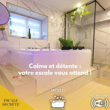 Escale secrète Montargis Jacuzzi Appart Climatisé Parking gratuit - Housity