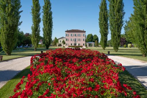 Cattania Suites and Rooms - Housity