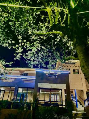 IMLIL VALLEY Garden - Housity