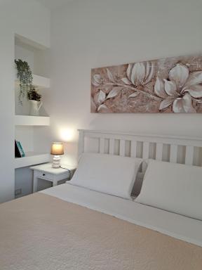 Cortile Damar - Housity