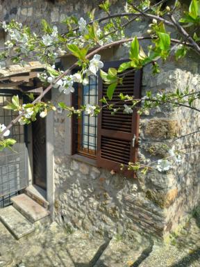 Autenticum Agriturismo Tolfa - Housity