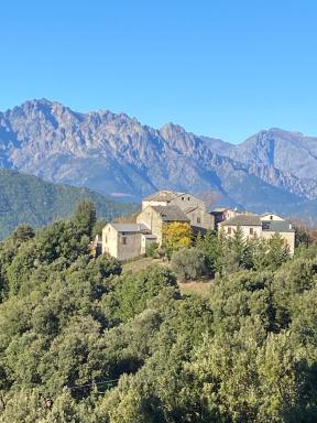 Casa Rosa - Housity
