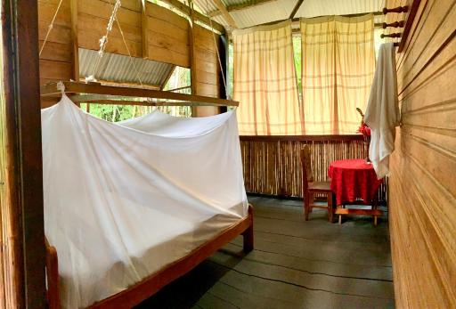 Amazonian Oropendola & tambopata - Housity