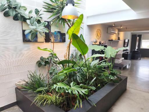 loft CARRASKETA - Housity