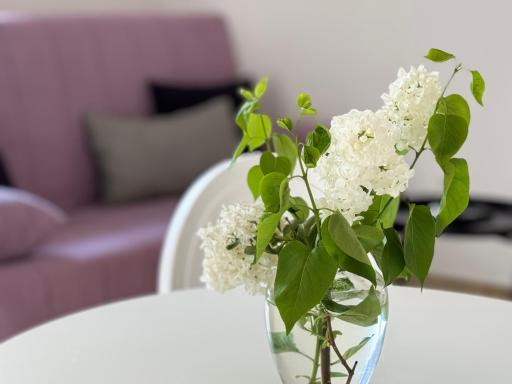 ZOJA Apartments - Housity