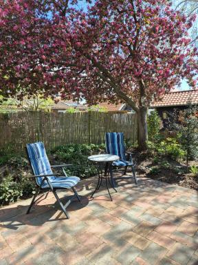 Vakantie Ouddorp - Housity