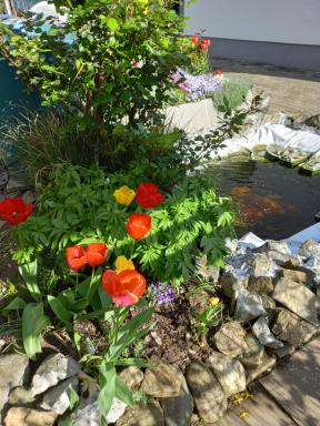 Apartment Zorec - Housity