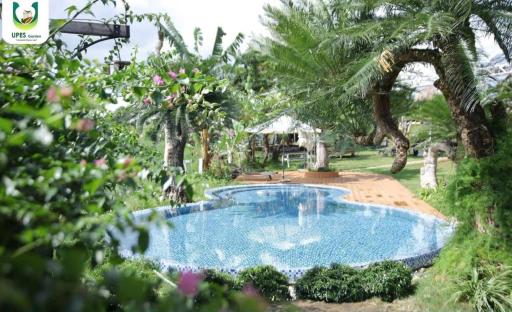 Upes Garden Homestay Bien Ho - Housity