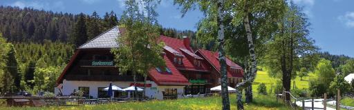 Landgasthaus Backhof-Helmle - Housity