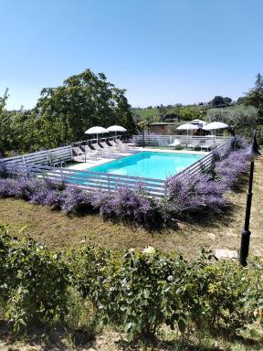 B&B Il Gelso Country House - Housity