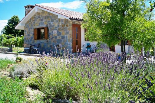 Holiday House Ida - Housity