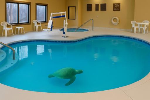 Vista Suites Pigeon Forge - SureStay Collection by BW - Housity