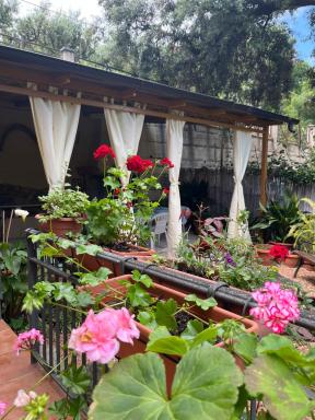 ASSUMBRA Casa Vacanze - Housity