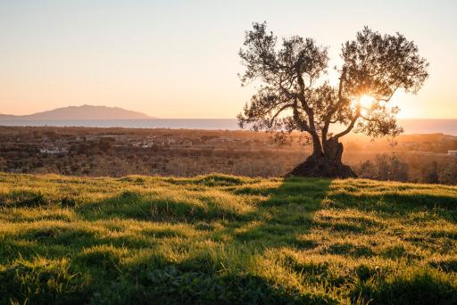 Agriturismo Podere L'Agave - Housity