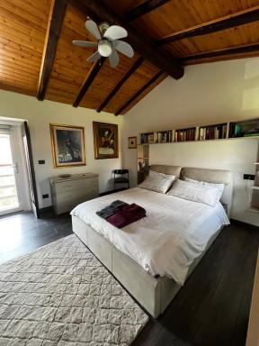 La corte di Bacco - Housity