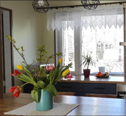 Kärdla Vabaduse Holiday Apartment with Garden - Housity