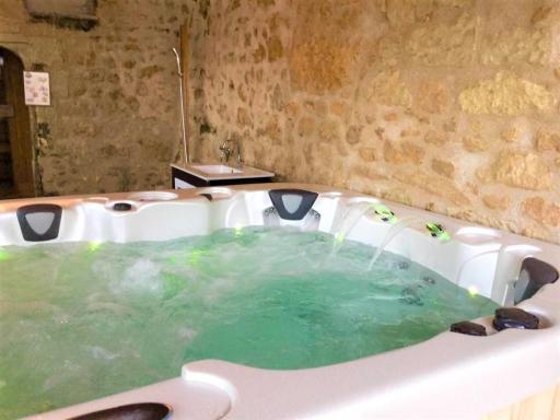 Élégante Demeure 17e avec Spa, Sauna et Authentique Cheminée, proche Châteaux de la Loire - FR-1-381-348 - Housity