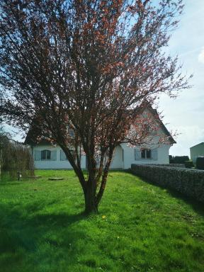 Maison Terra Nova - Housity