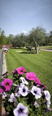 Fons Clara Domus et Eventi - Housity