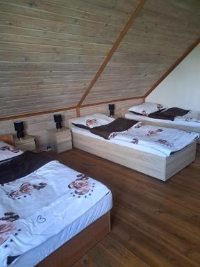 bizon - Housity