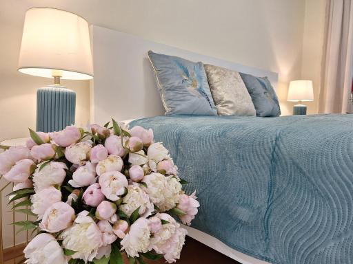 Albina apartman - Housity