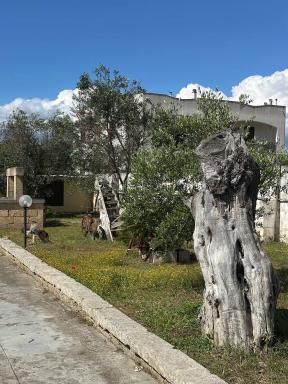B&B Sant'Antonio - Housity
