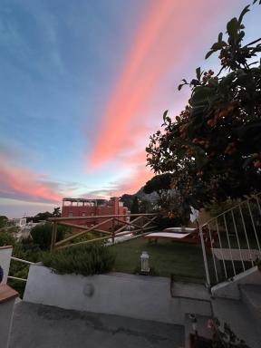 Capri Joy - Housity