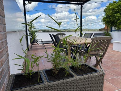 Sabores Alem Tejo 38 - Housity