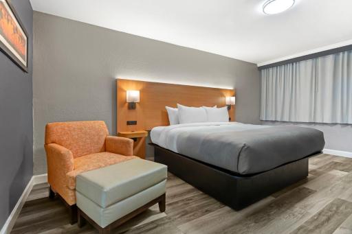 Quality Inn and Conference Center Tampa-Brandon - Housity
