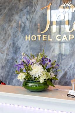 Iris Hotel Cape Cod - Housity