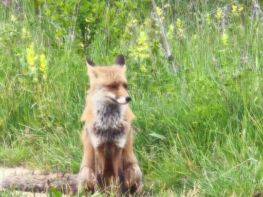 El Pecu Casa Rural - Housity