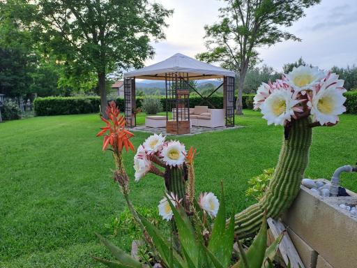 Lo Stucchio - Housity