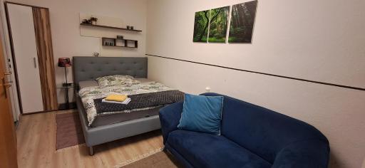 Apartment AP 1 im Zentrum Steyr, BESTROOMS eU - Housity