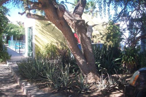 Casabuena B&B - Housity