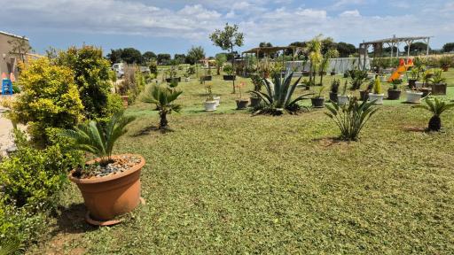 B&B L'Albero d'Oro - Housity