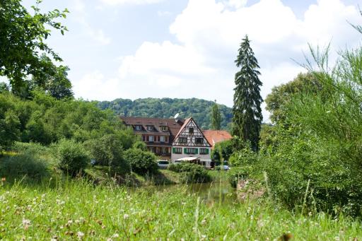 Logis Hôtel-Restaurant Auberge d'Imsthal - Housity