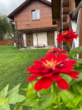 Pidkova - Housity