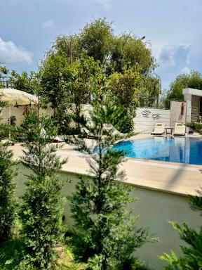 Oregano Side - Housity