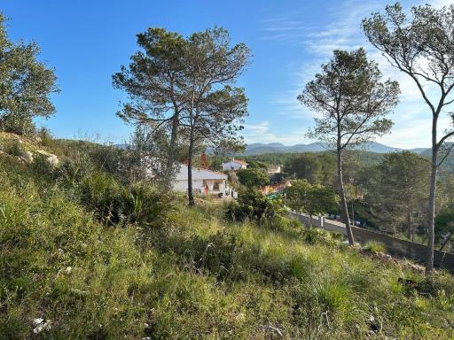 Son Roca Ribes Guest House - Housity