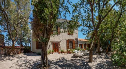 Lela Kaptani Eftalou Olive Grove - Housity