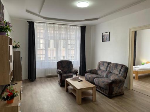 Grand apartments in the centre of Teplice - Housity