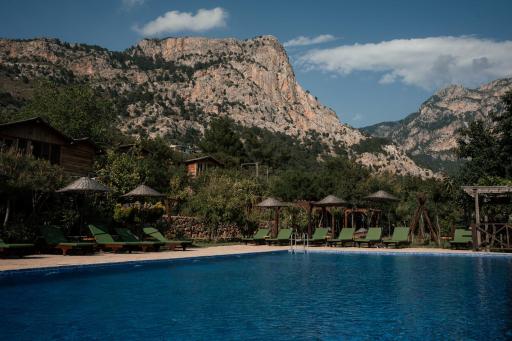 Olive Garden Kabak - Housity