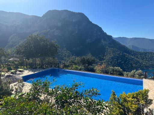 Olive Garden Kabak - Housity